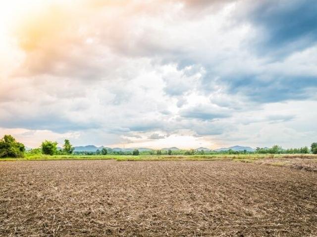Kommaghatta, West Bangalore Commercial Land 130 Acre in Kommaghatta Bangalore Listing ID: #10055