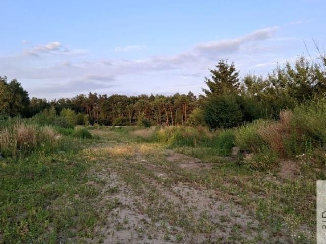 Komornicka 1 343 m², Wrocław
