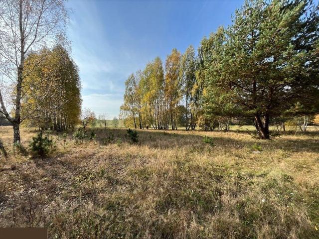 Komorów, 20 000 m2