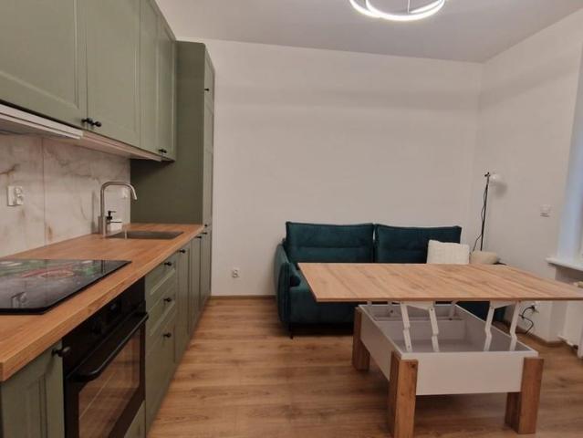 kompaktowa kawalerka /pierwszy najemca po remoncie 19.8 m²