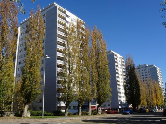 Komplett renovierte Wohnung