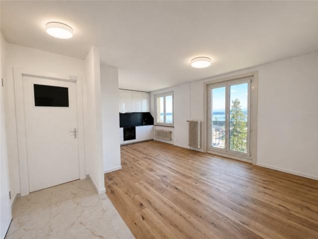 Komplett renovierte Wohnung mit Blick auf den See und die Alpen