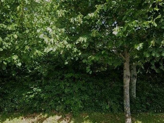 Kontor til leje i 4632 Bjæverskov