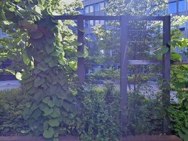 Kontor uthyres i Solna