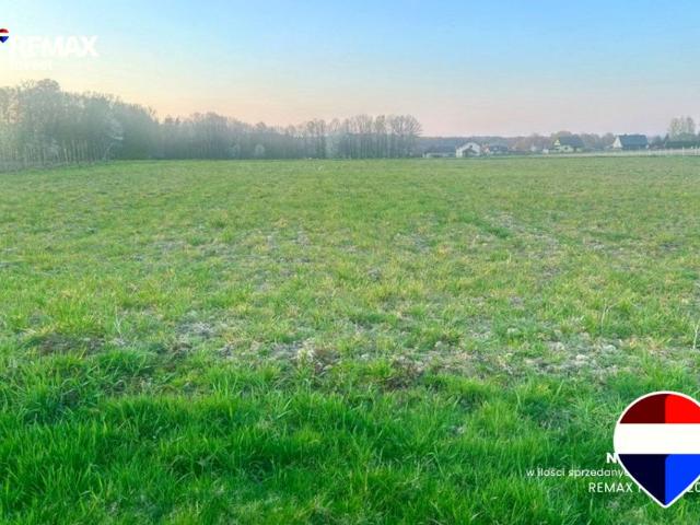 Konwaliowa 1 124 m², Pisarzowice