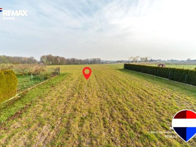 Konwaliowa 2 232 m², Pisarzowice