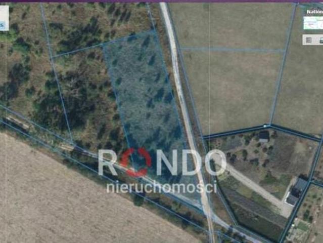 Konwaliowa 3 982 m², Radziszewo