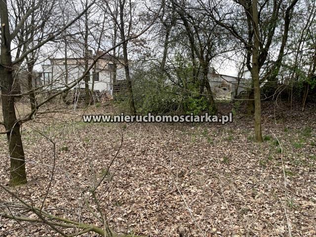 Konwaliowa 787 m², Wodzisław Śląski