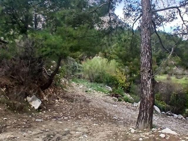 Konyaaltı Hacısekilerde Müstakil Parsel Merkezi Konum