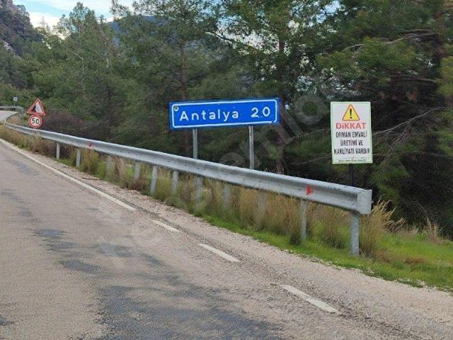 Konyaaltı Hisarçandır'da Çam Ormanı'na cepheli Satılık Tarla