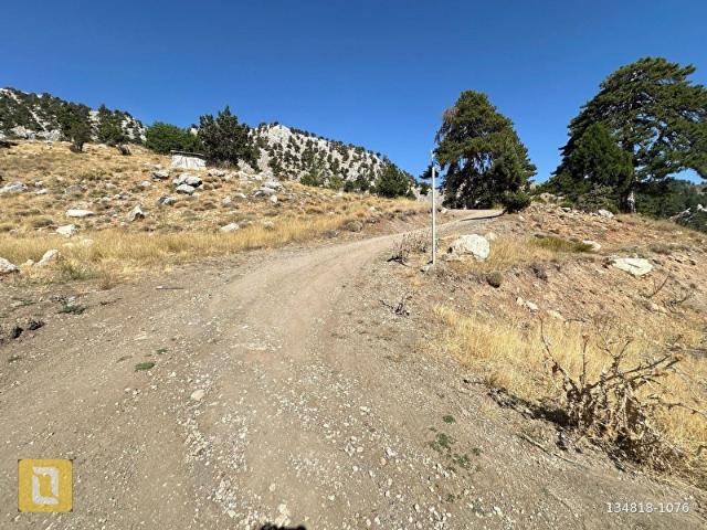 Konyaalto DOYRAN'da Satılık TARLA 2404m TEK TAPUAna Yola Yakın