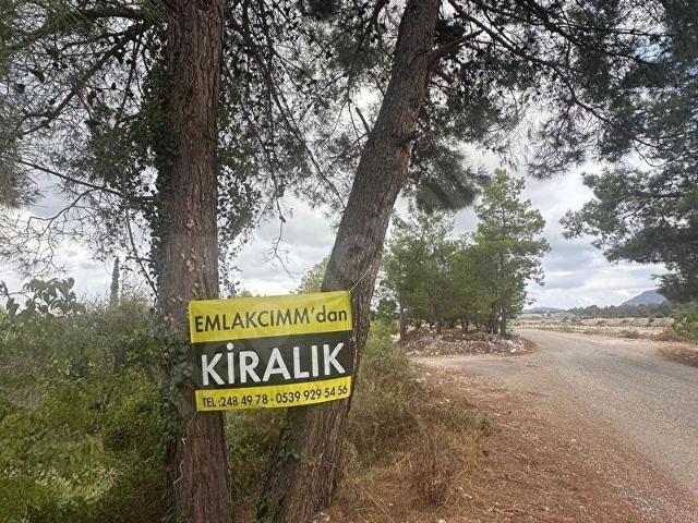 KONYAALTI AŞAĞIKARAMANDA 7.400 M2 KİRALIK TARLAMIZ
