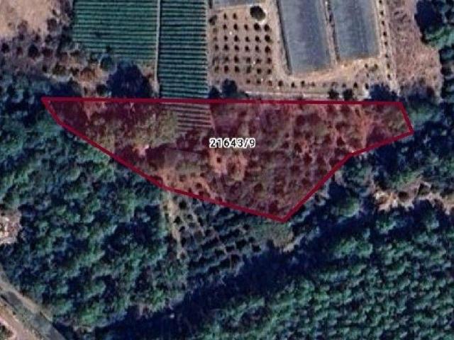 KONYAALTI AŞAĞIKARAMANDA FIRSAT! 2989 m KİRALIK TARLA DÖNÜMÜ 20.000 TL