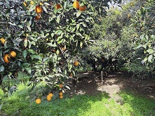 KONYAALTI AŞAĞIKARAMANDA SATILIK 170 M2 DENİZE ÇOK YAKINN