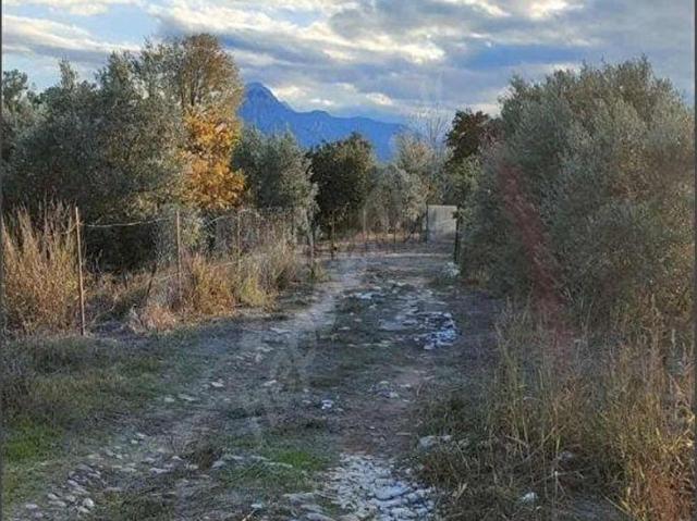 KONYAALTI AŞAĞIKARAMANDA SATILIK FIRSATTT TARLAMIZZ