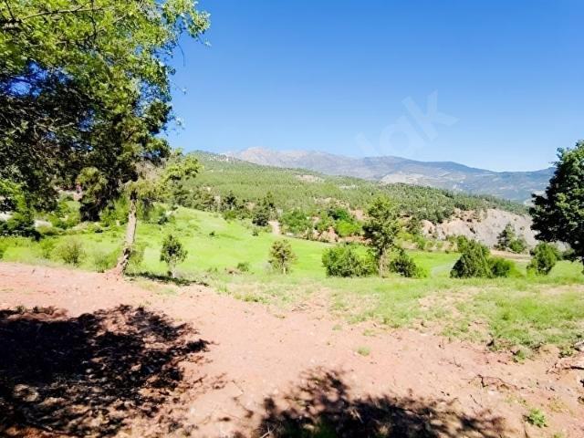 KONYAALTI DOYRAN SAKLIKENT ANA YOLA 2.PARSEL 705M2 FIRSAT ARAZİ