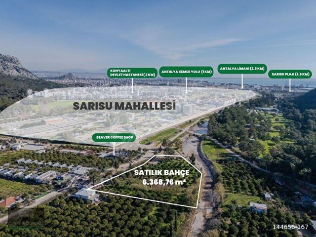 KONYAALTI SARISUDA İMAR SINIRINDA 6.350 M DEĞERLİ PARSEL