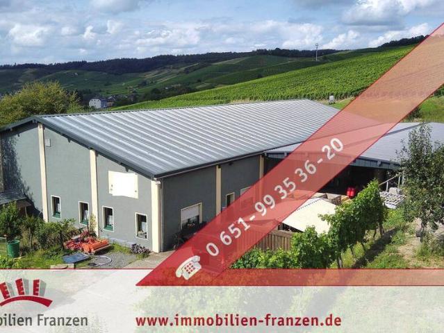Konz: Gebäudekomplex bestehend aus neuer 800 m² großer Halle, Zweifamilienhaus + vermieteten Restaurant