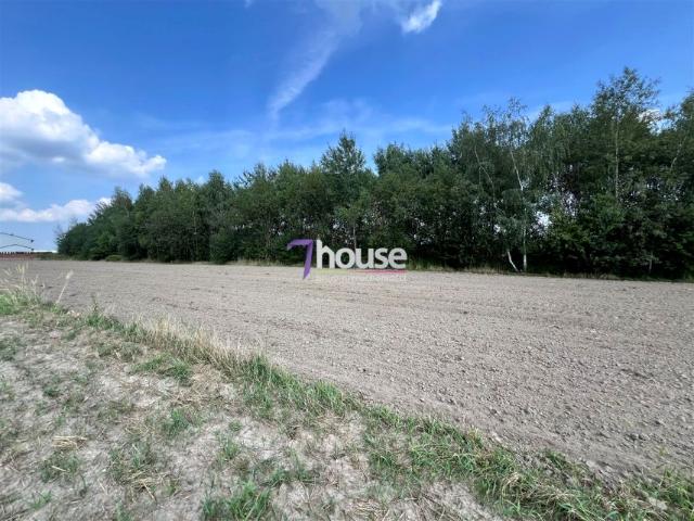 Konduktorska 3 151 m², Tarnowskie Góry