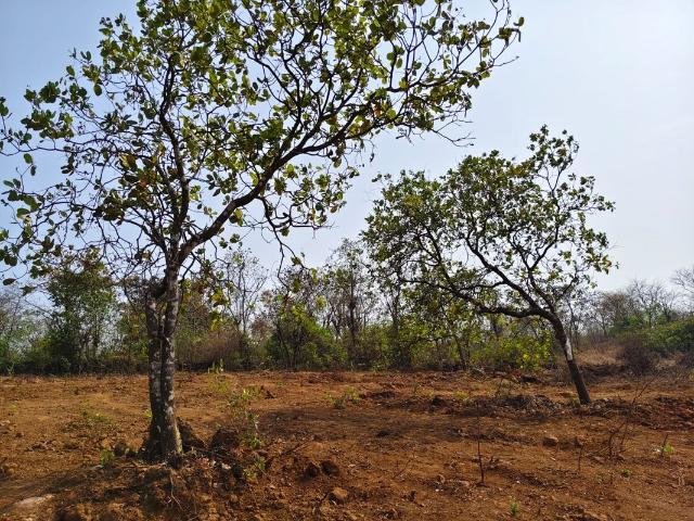 Konkan Nagar, Ratnagiri City 23216 Sq. Ft. Plot in Konkan Nagar Ratnagiri Listing ID: #10288