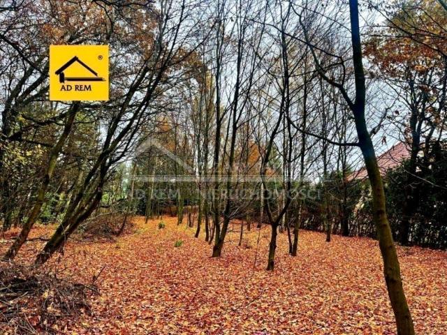 Konopnica 2 200 m², Konopnica
