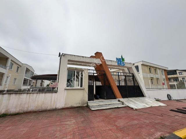 Kocaalide Yüzme Havuzlu Site İçerisinde Kiralık Eşyalı Daire