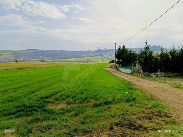 Kocaeli Kandıra Karadivan Satılık 3.574 Metrekare Arsa