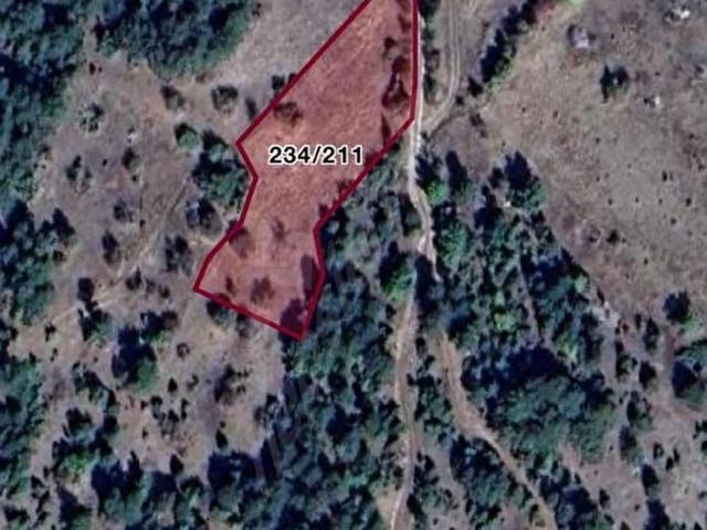 KOCAKOVACIK YAYLA DA 2.754 m2 RESMİ YOLU OLAN TARLA