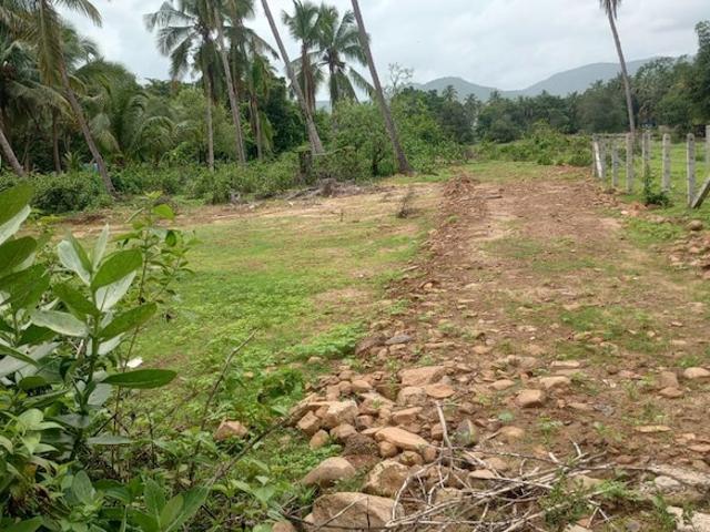 Kodibag Karwar 424 Sq.Yd. Plot in Kodibag Karwar Listing ID: #10116