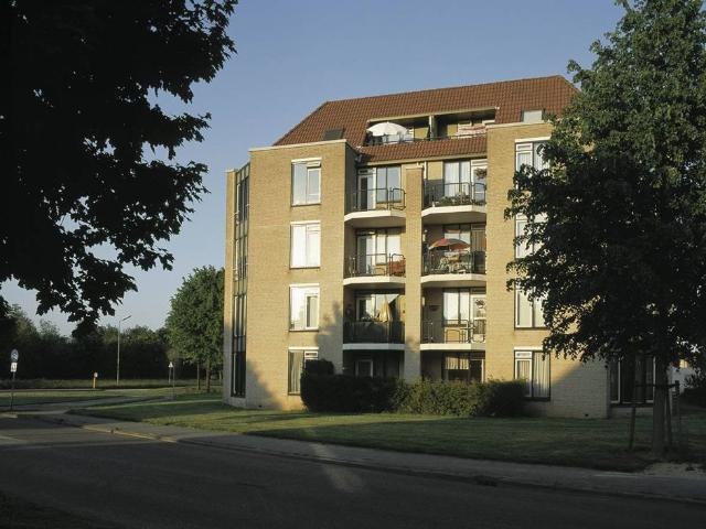 Koekoeksbloem, 124, Odijk