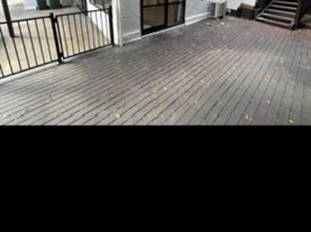 kohimarama, 1 bedroom