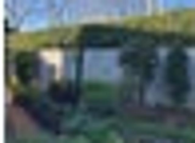 Kohimarama, 2 bedrooms, $695 pw