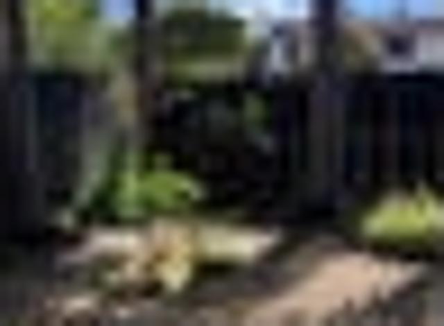 Kohimarama, 2 bedrooms, $750 pw