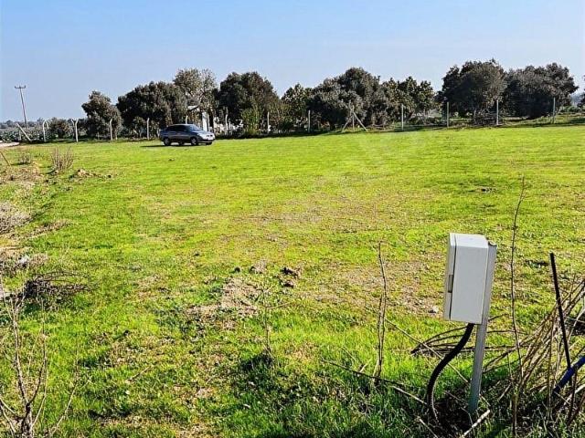 Kök Tapu 821m Kaçmaz Fırsat Otoban Kenarı Depo İmar Sınırı