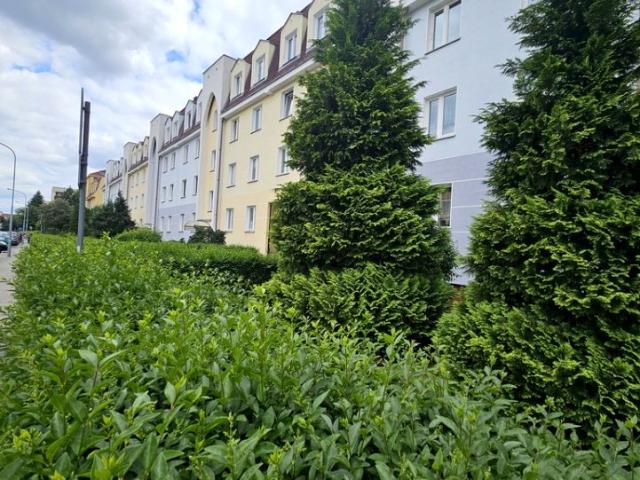 Kokosowa 50,50 m², Zielona Góra