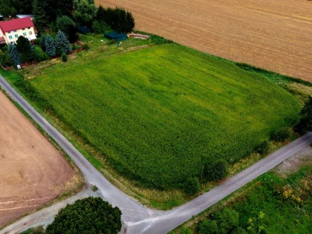 Kolejowa 8 6 200 m², Ścinawka Średnia
