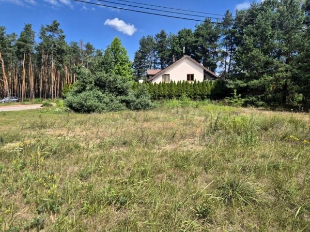 Kolejowa 1 388 m², Dąbrowa Chotomowska