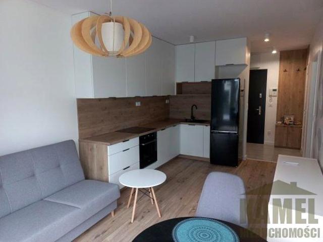 Kolendrowa 38 m², Opole