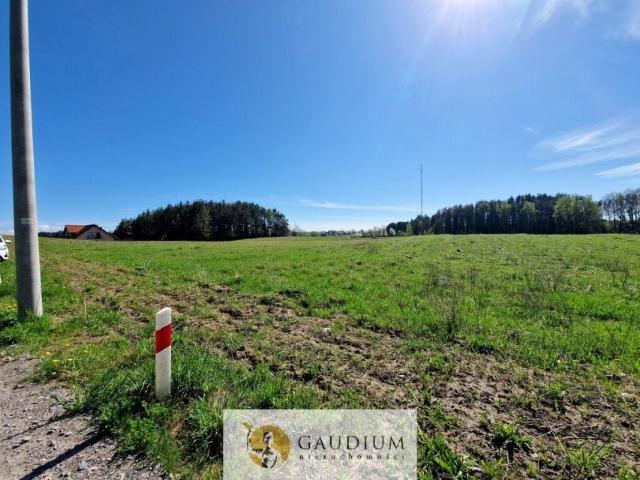 Kolonia 1 084 m², Gdynia