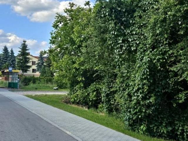 Kolonia 1 392 m², Dąbrowa