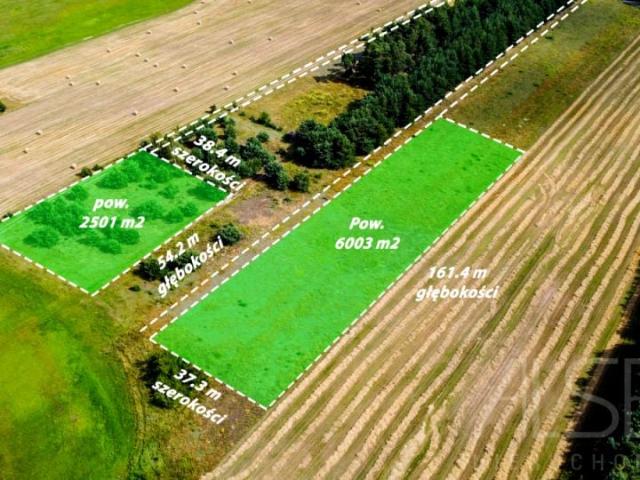 Kolonijna 2 501 m², Słopsk