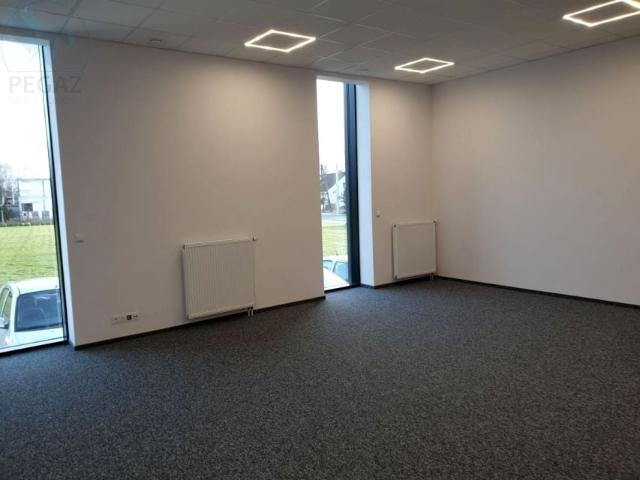 Kopanina 50,84 m², Poznań