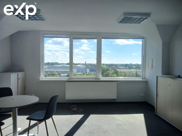 Kopanina 250 m², Poznań
