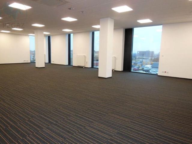 Kopanina 378 m², Poznań
