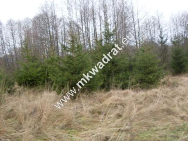 Korabiewice, 13980 m² Działka