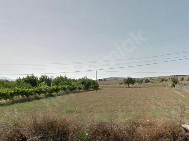 KORKUTELİ BOZOVA'da EMSALLERİNİN ALTINDA ! TEK TAPULU 4.483m2