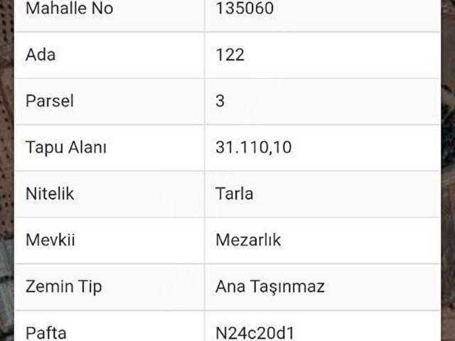 KORKUTELİ BAYAT BADEMLERİNDE YATIRIMLIK FIRSAT