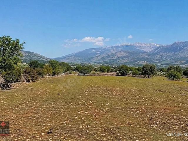 KORKUTELİ BÜYÜKKÖY DE SATILIK TARLA