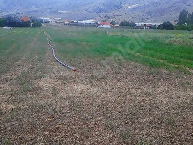 KORKUTELİ KOZAĞACINDA SATILIK TARLA SERA YERİ