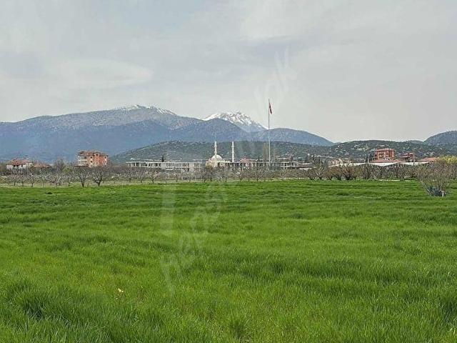 KORKUTELİ YAZIRDA MERKEZİ KONUMDA 5.000 M YATIRIMLIK BAHÇE!